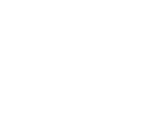 logo novbud biale